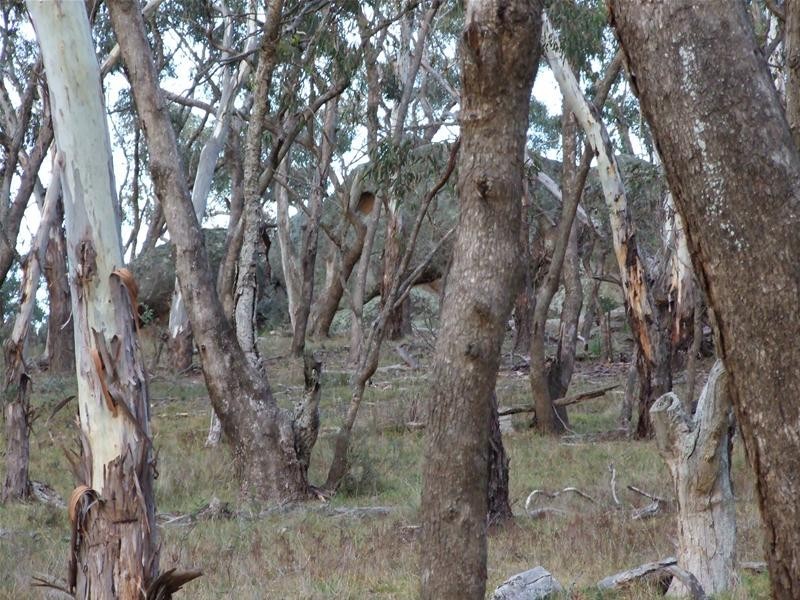 Oberon NSW 2787