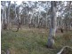 Oberon NSW 2787