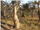 Oberon NSW 2787