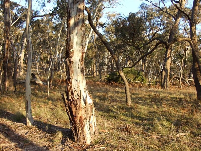Oberon NSW 2787