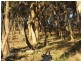 Oberon NSW 2787
