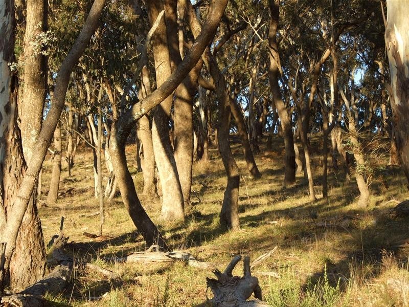 Oberon NSW 2787