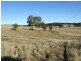 Oberon NSW 2787