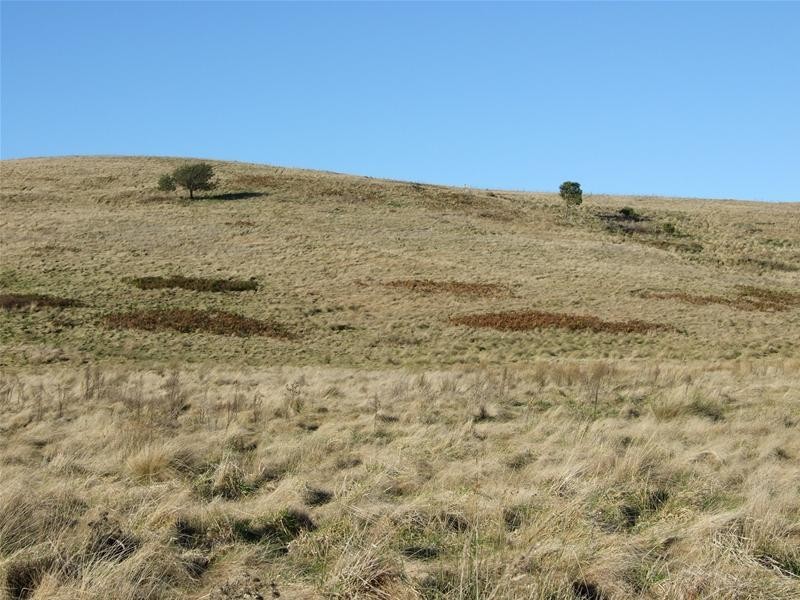 Oberon NSW 2787