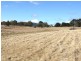 Oberon NSW 2787
