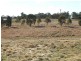 Oberon NSW 2787