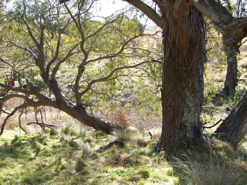 Oberon NSW 2787