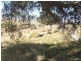 Oberon NSW 2787