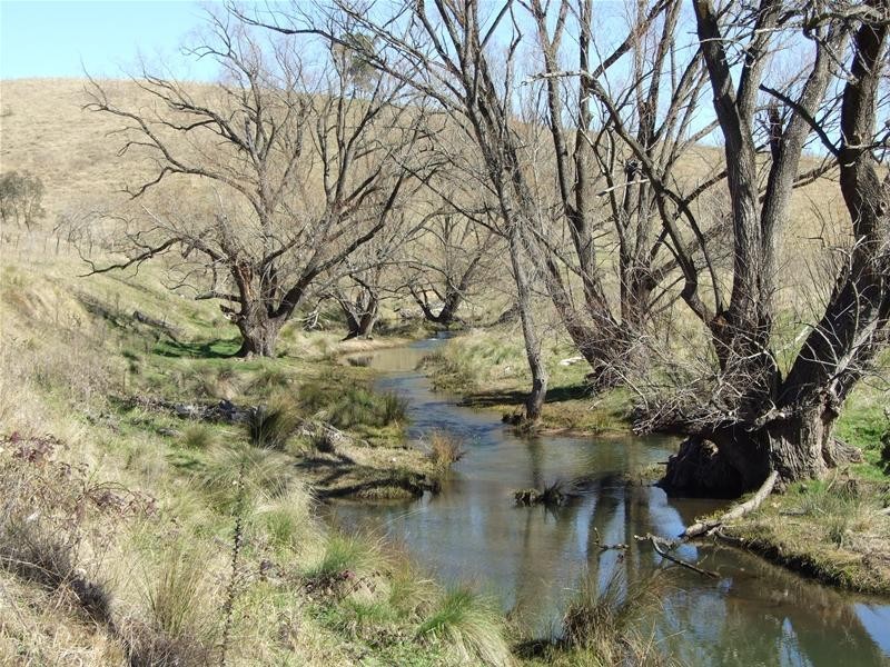 Kanimbla NSW 2790