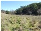 Kanimbla NSW 2790