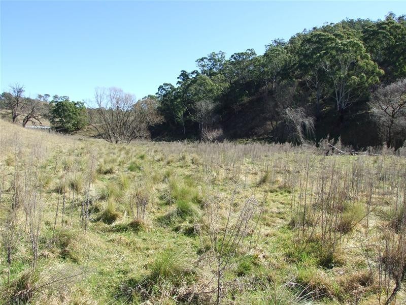 Kanimbla NSW 2790