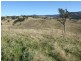 Kanimbla NSW 2790