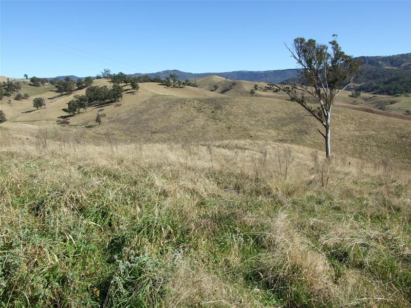 Kanimbla NSW 2790