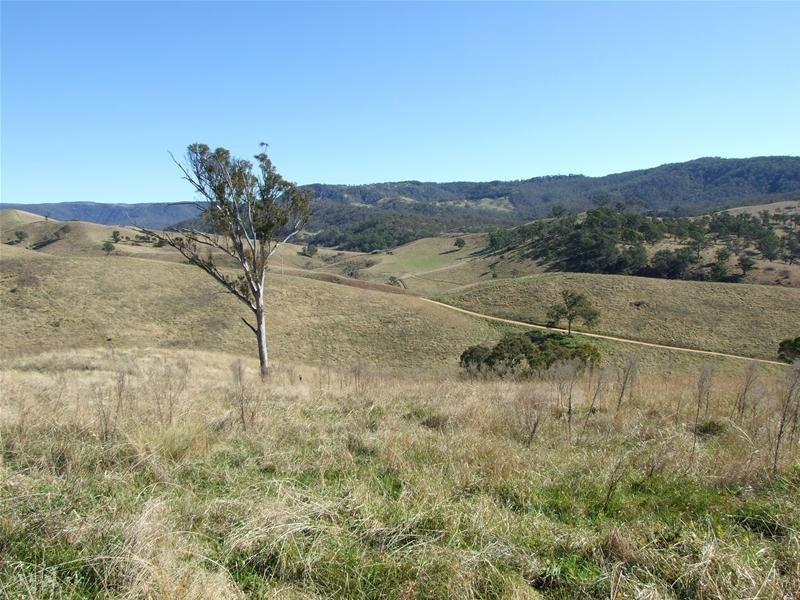 Kanimbla NSW 2790
