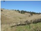 Kanimbla NSW 2790