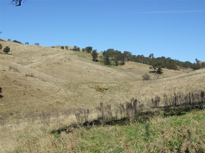 Kanimbla NSW 2790