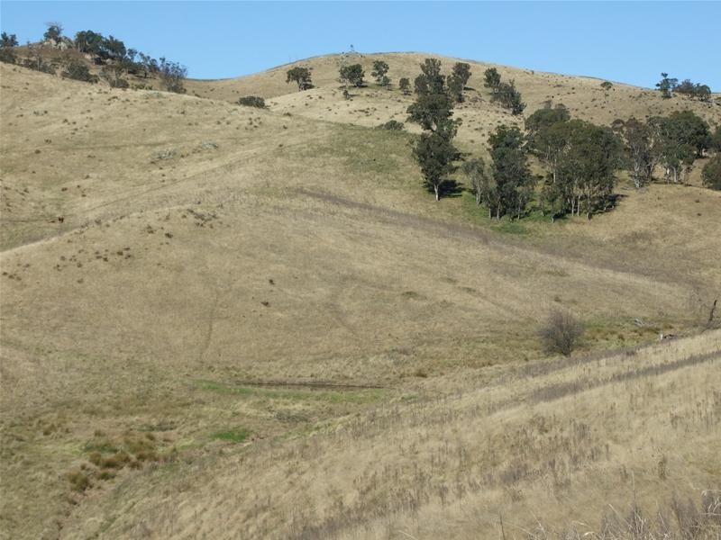 Kanimbla NSW 2790