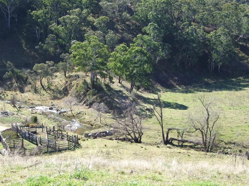 Kanimbla NSW 2790