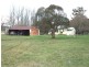 Black Springs NSW 2787