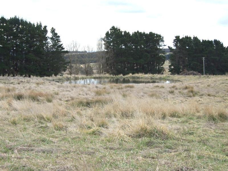 Black Springs NSW 2787