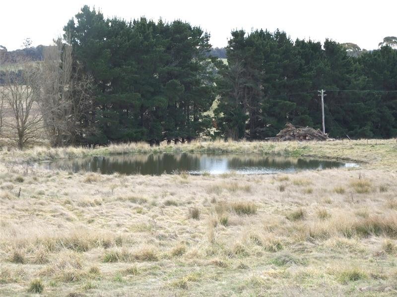 Black Springs NSW 2787