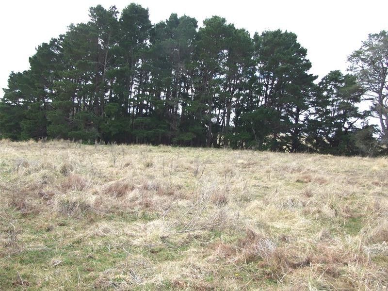 Black Springs NSW 2787