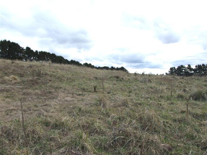 Black Springs NSW 2787