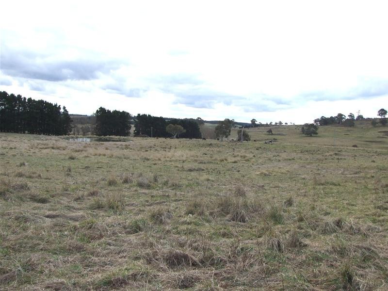 Black Springs NSW 2787