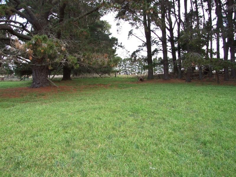 Black Springs NSW 2787