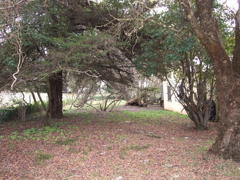 Black Springs NSW 2787