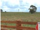 Oberon NSW 2787