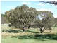 Oberon NSW 2787
