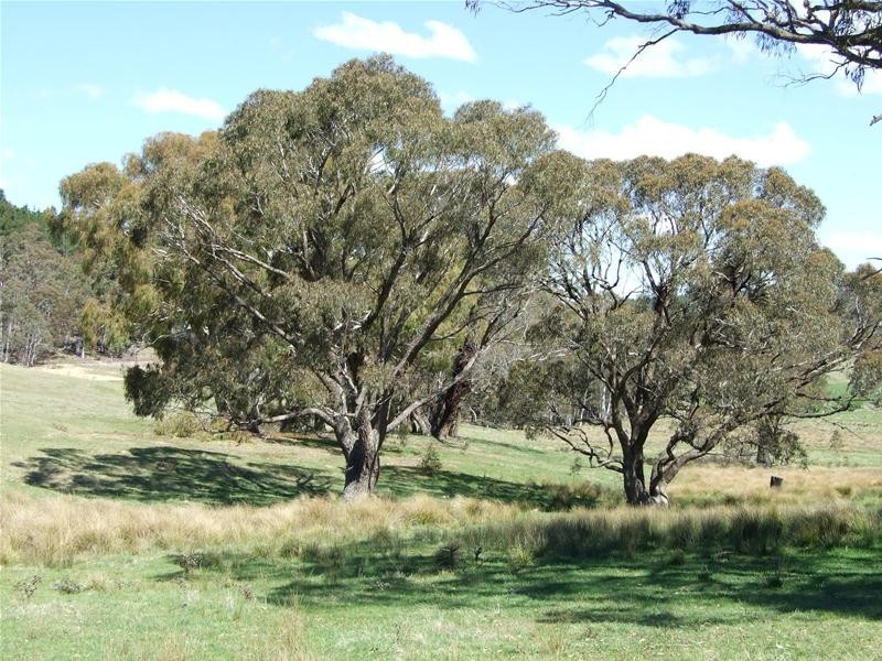 Oberon NSW 2787