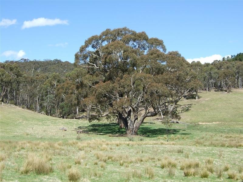 Oberon NSW 2787