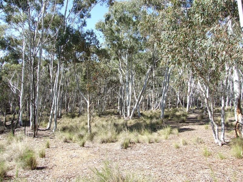 Oberon NSW 2787