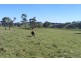 Oberon NSW 2787