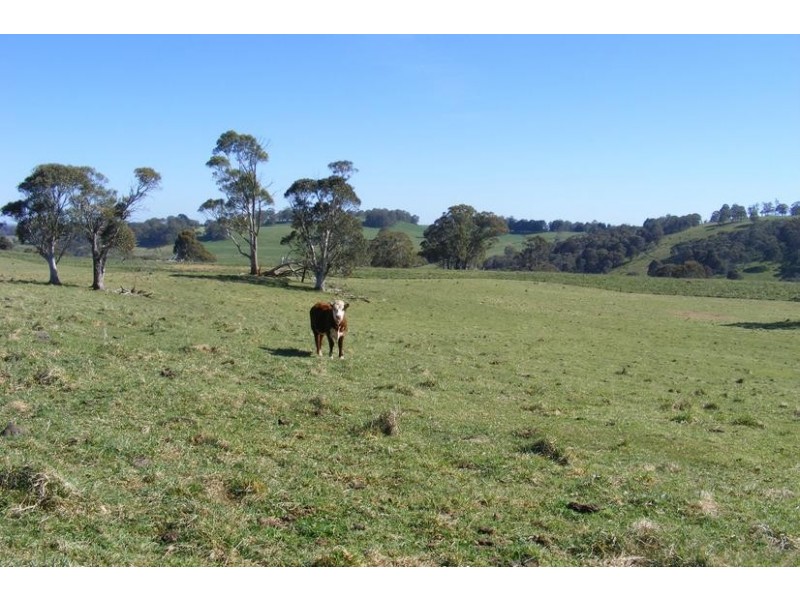 Oberon NSW 2787