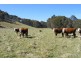 Oberon NSW 2787