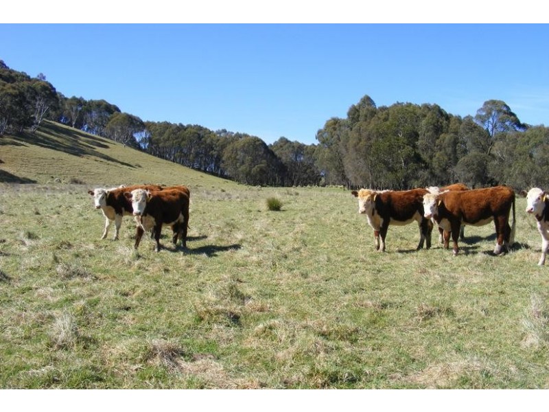 Oberon NSW 2787