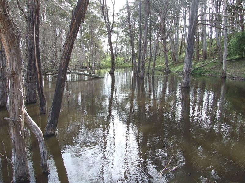 23 Sheepstation Forest Road, Gingkin NSW 2787