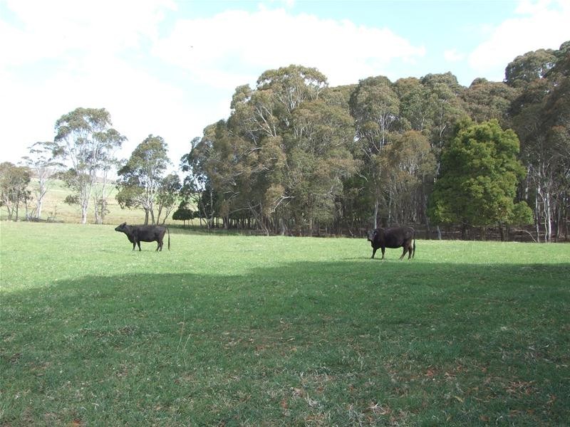23 Sheepstation Forest Road, Gingkin NSW 2787