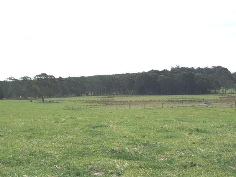 23 Sheepstation Forest Road, Gingkin NSW 2787