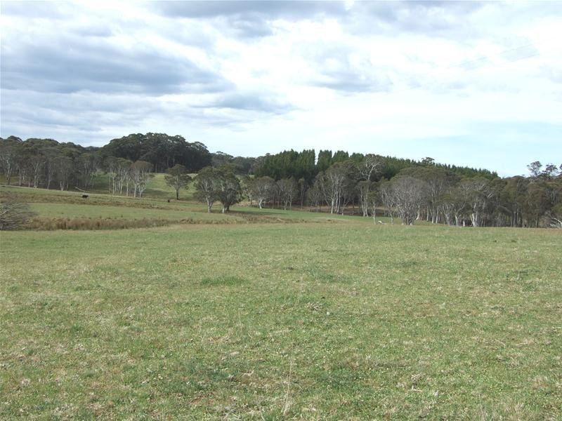 23 Sheepstation Forest Road, Gingkin NSW 2787