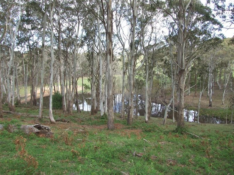 23 Sheepstation Forest Road, Gingkin NSW 2787