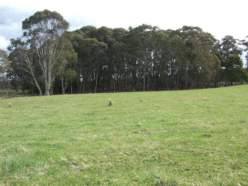 23 Sheepstation Forest Road, Gingkin NSW 2787