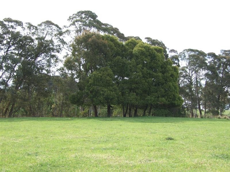 23 Sheepstation Forest Road, Gingkin NSW 2787