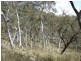 Oberon NSW 2787