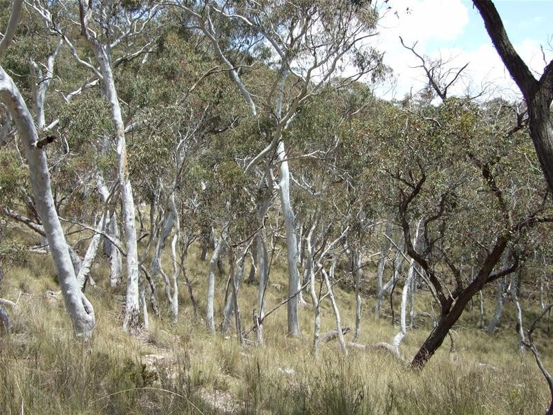 Oberon NSW 2787