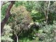 Oberon NSW 2787
