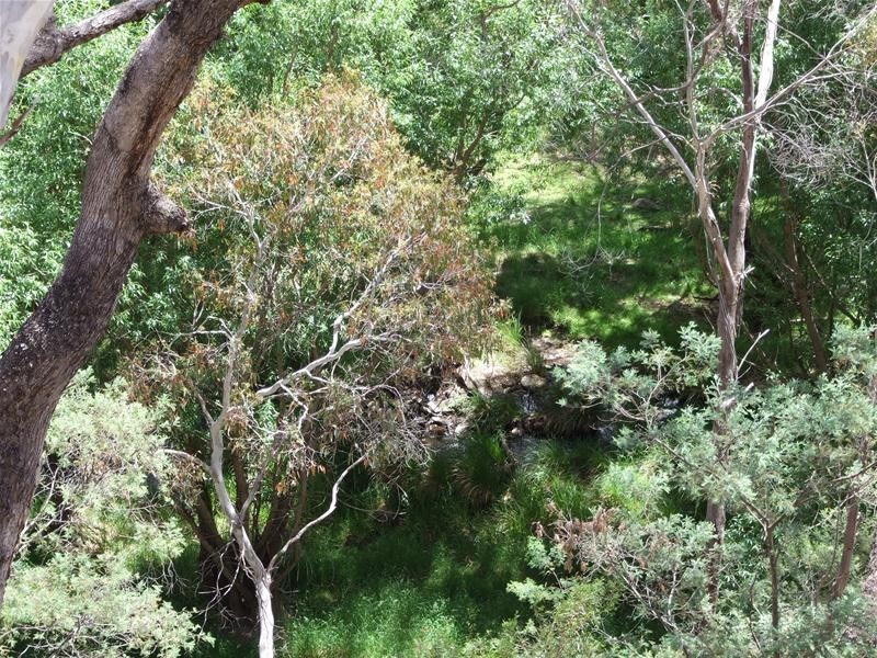 Oberon NSW 2787